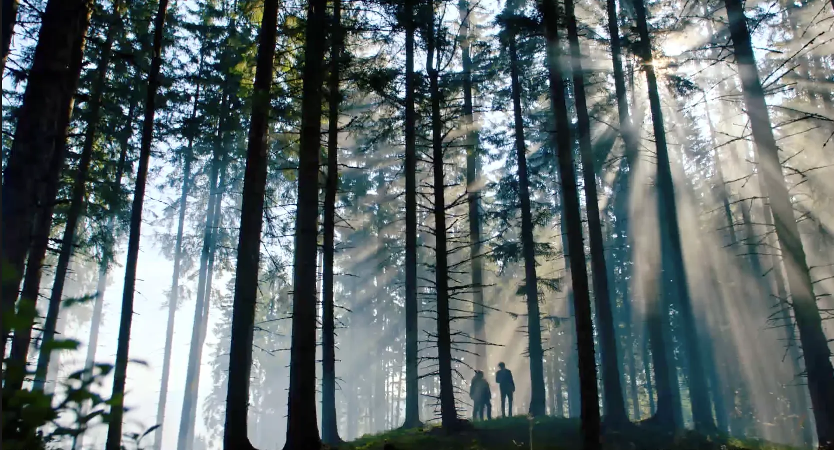 Dennstein & Schwarz: Debt Trap