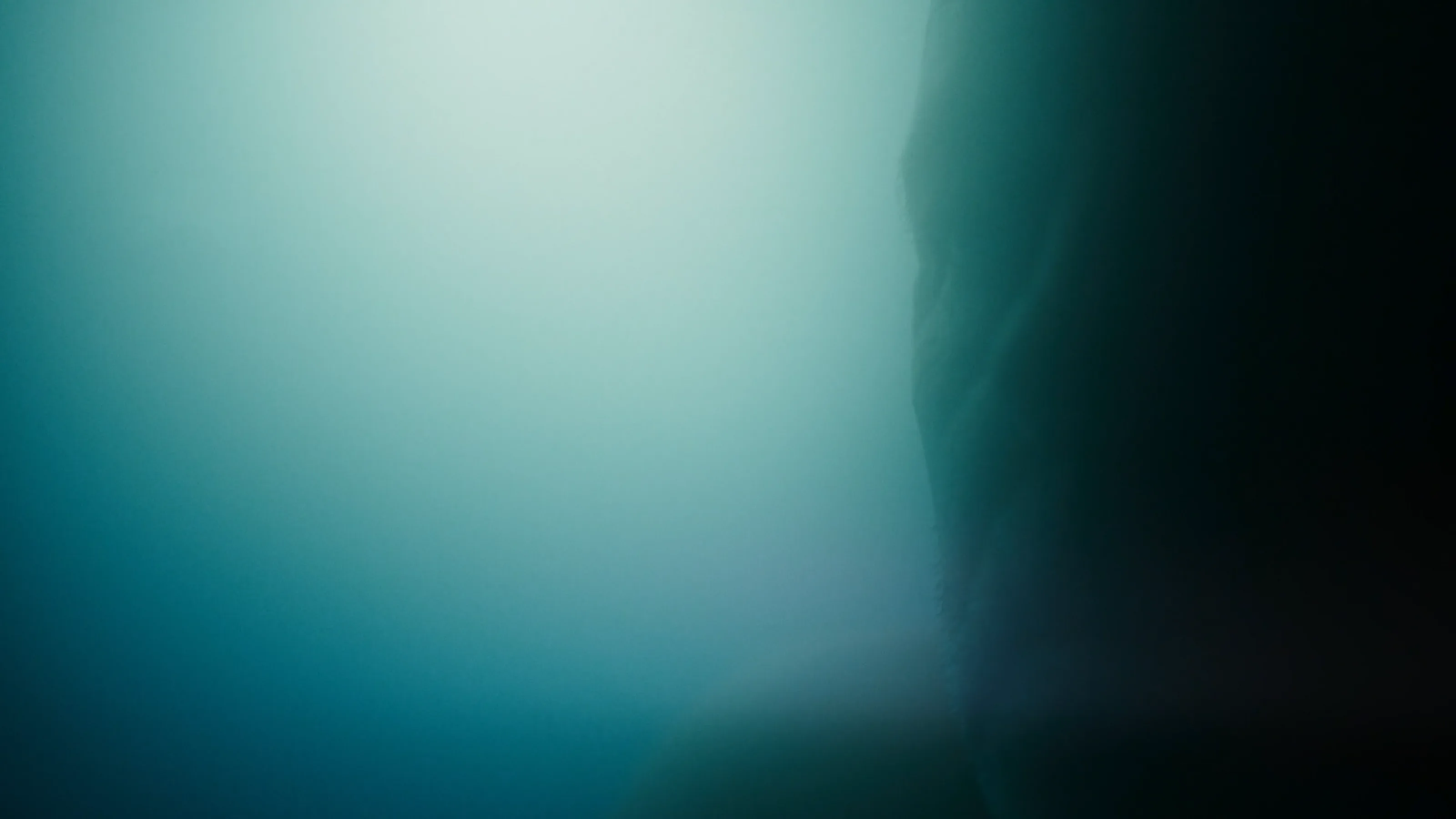 Ein starkes Team: Abgetaucht