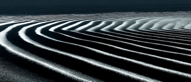 Light Study I - Golden Hour